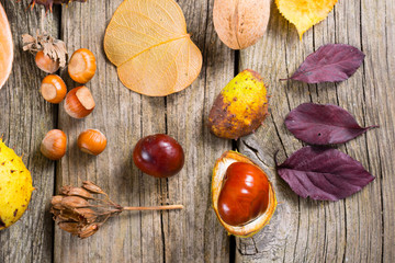 fallen autumn growths and leaves on worn wooden