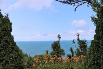Panoramic view of the Black sea coastline, from the Batumi botanical garden of Georgia. Large park...