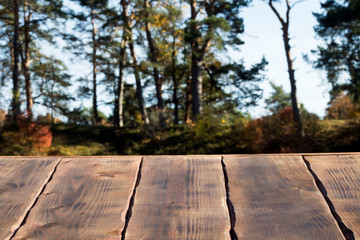 Naklejka na ściany i meble empty wooden table against the background of the autumn forest and the trees. copy space, a place to place an inscription or advertisement