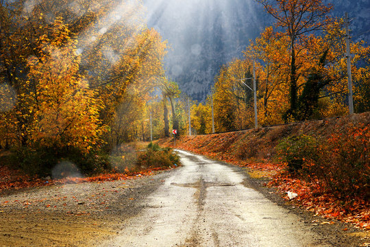 Landscape image of dirt countryside dirt road with colorful autumn leaves and trees in forest of Mersin, Turkey