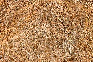 hay bale background