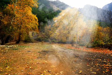 Landscape image of dirt countryside dirt road with colorful autumn leaves and trees in forest of Mersin, Turkey