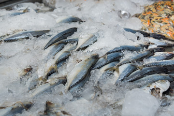 raw mackerel fish on ice in Thailand market ,seafood background ,seafood market ,raw food