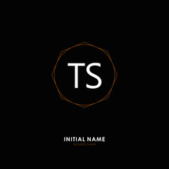 TS TS Initial logo letter with minimalist concept. Vector with scandinavian style logo.