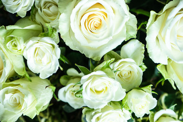 White roses in bouquet