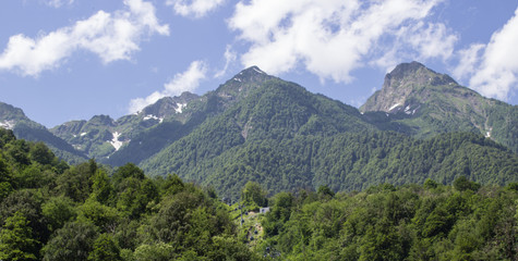 The tops of mountain ranges against the forest