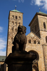 Der Osnabrücker Löwenpudel