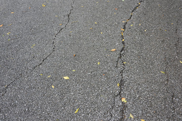 Obraz premium Close-up of Cracks in Asphalt Road