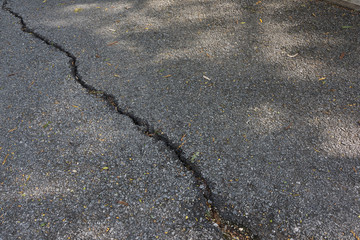 Close-up shot of old asphalt road crack under sunlight tree shadow