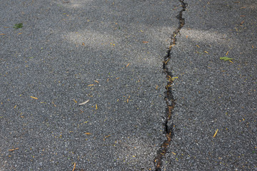 Close-up shot of old asphalt road crack under sunlight tree shadow