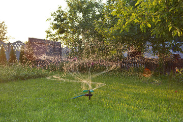 Garden sprinkler on a summer evening watering the green grass.