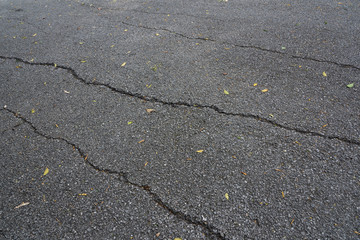 Obraz premium Autumn, many tiny leaves fall on the asphalt road with cracks