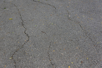 Autumn, many tiny leaves fall on the asphalt road with cracks