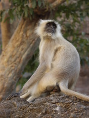 Obraz premium OLYMPUS DIGITAL CAMERA