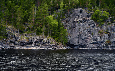 Green rocky shore with pine trees. Background for travel materials