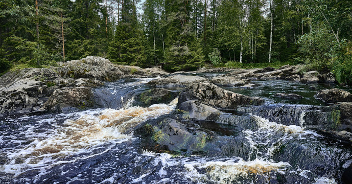 Mountain river in the forest. Panoramic landscape