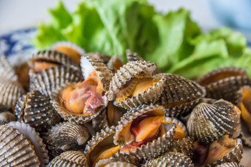 Steamed blanched cockles with Thai seafood dipping sauce and lettuce in the white dish.