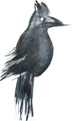 Fototapeta premium bird graphics on white background, graphic crane or heron wallpaper