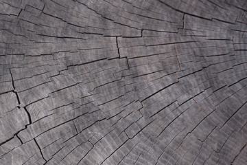 old dark wooden texture