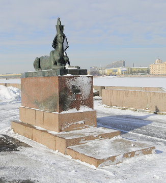 Sphinga statue, early spring. Saint Petersburg