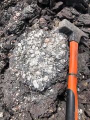 Geological hammer and fossil shells