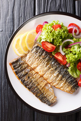 grilled mackerel fillet with a side dish of fresh vegetable salad close-up on a plate.Vertical top view