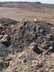 stones in desert