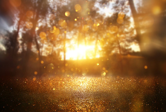 Abstract background of light burst among trees and glitter golden bokeh lights © tomertu