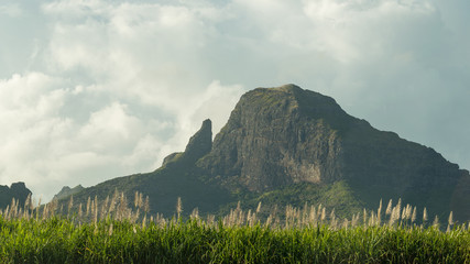 mauritius