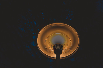 lamp on a black background