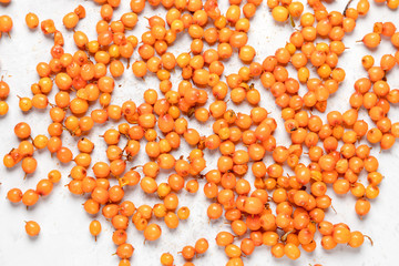 Top view of sea buckthorn on a white surface