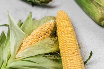 Corn cobs lie on a gray cement background. Autumn is the harvest season.