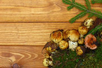 mushrooms on wooden table