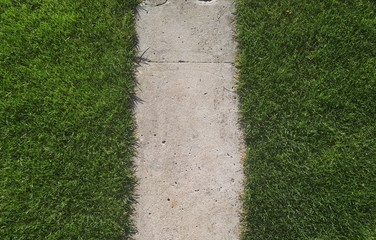 A symetric concrete path and beautiful green grass on the sides