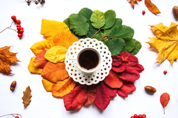 A cup of black tea on the background of colorful leaves, acorns and rowan berry. Autumn design.