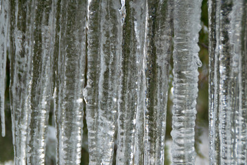 Crystal clear sharp frozen icicles hanging down