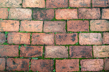 old red brick floor exterior texture background with moss and small plants.