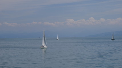 Fototapeta premium Bodensee mit Segelbooten