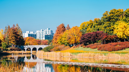 Fototapeta na wymiar Olympic park, autumn maple and lake in Seoul, Korea
