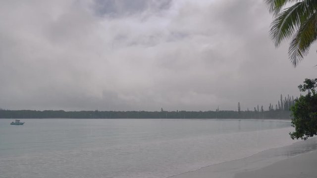 4k video -Raining at the beach at Kuto Bay, Isle of Pines in New Caledonia with a seagull flying for cover on an overcast day in August on an island in South Pacific.