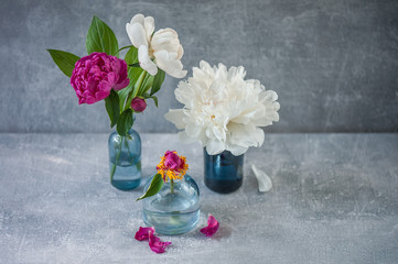 Floral arrangement with pink and white peonies on light gray background. Copy space.