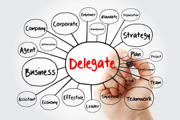 Delegate mind map flowchart with marker, business concept for presentations and reports