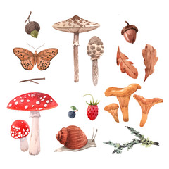 Watercolor forest set © Zenina-Lembrik