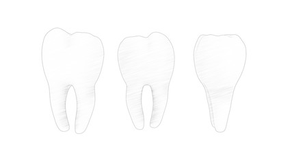 3d rendering of a tooth molar isolated in white background