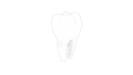 3d rendering of a tooth molar isolated in white background