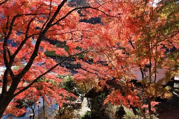 香嵐渓の紅葉