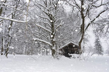 Hütte im Schneegestöber