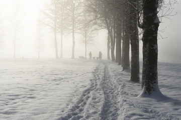 Winter am Kochelsee