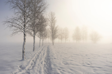 Fototapeta na wymiar Winter am Kochelsee