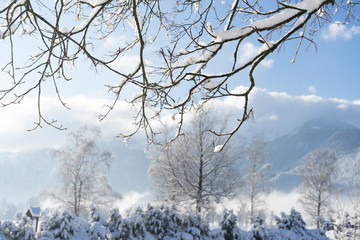 Fototapeta na wymiar Winter in den Bergen